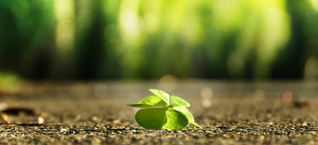 Silviarita Auf Pixabay