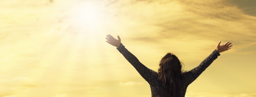 daniel heche auf pixabay